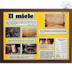 Apri scheda prodotto: Poster `IL MIELE`cm. 50x70