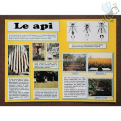 Poster `LE API`cm. 50x70