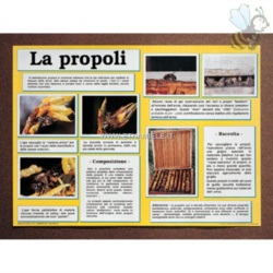 Apri scheda prodotto: Poster `PROPOLI`cm. 50x70