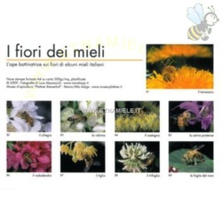 Apri scheda prodotto: Serie fotografie `I fiori del miele`, 9 foto a colori 21x30 cm